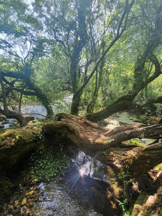 Timber Valley Plitvička Jezera Buitenkant foto